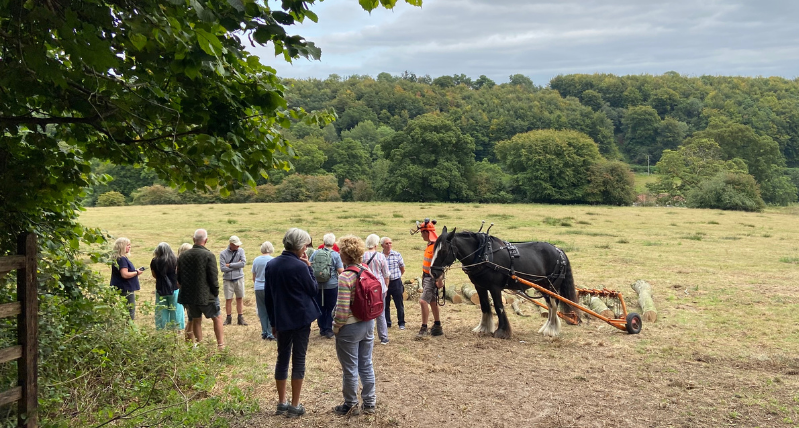 Stourhead Heavy Horses